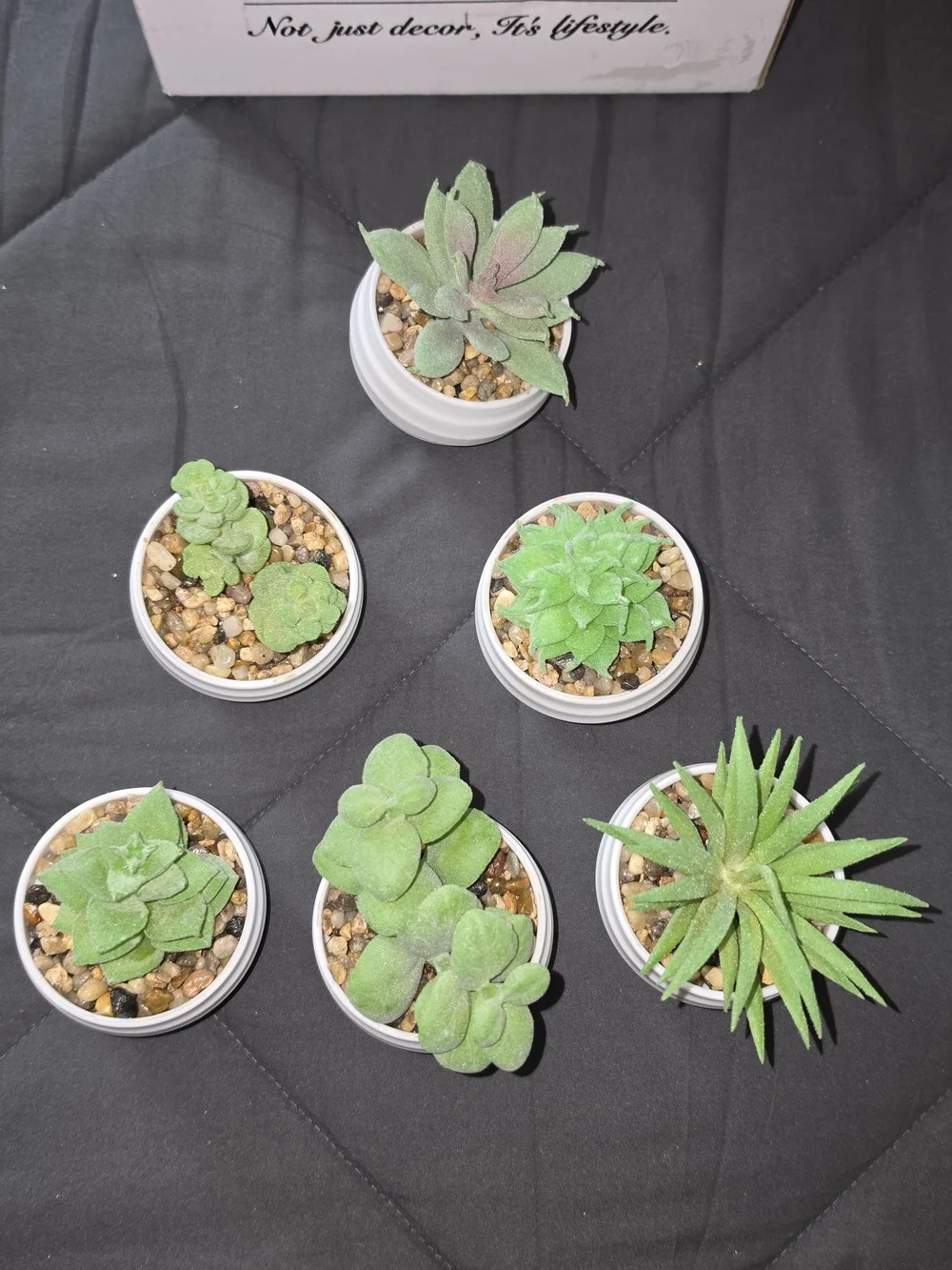 White Ceramic Mini Planter Set with Green Faux Succulents (6-Pack)